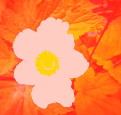 Flower (Hommage to Andy Warhol) by Martina Konitzky