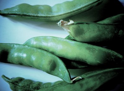 Pea Pods by Martina Konitzky