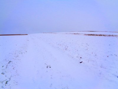 Fields in Winter by Martina Konitzky