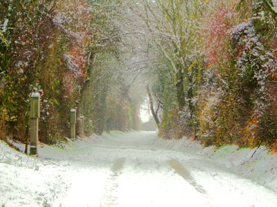 Country Road by Martina Konitzky
