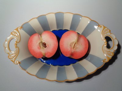 Porcelain of the Royal Privileged Porcelain Factory Tettau with Red Apple by Martina Konitzky