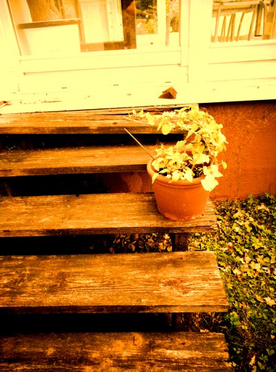 Veranda Steps by Martina Konitzky