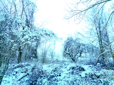 Winter Blue by Martina Konitzky