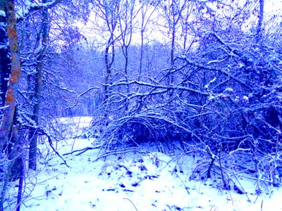 Winter Blue by Martina Konitzky