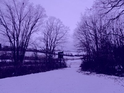 Untitled by Martina Konitzky