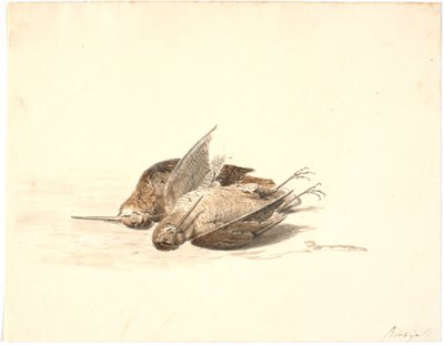 Two Dead Snipe by Martinus Rørbye