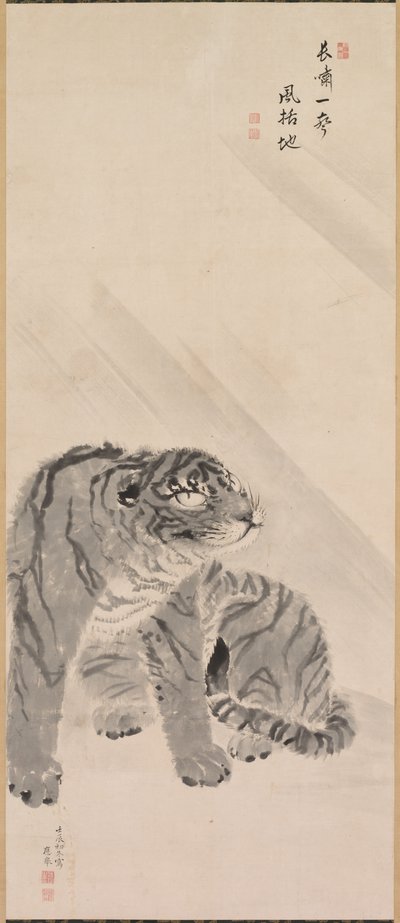Tiger in Wind and Rain by Maruyama Okyo