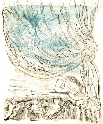 Beauty Dreaming by Mary Kuper