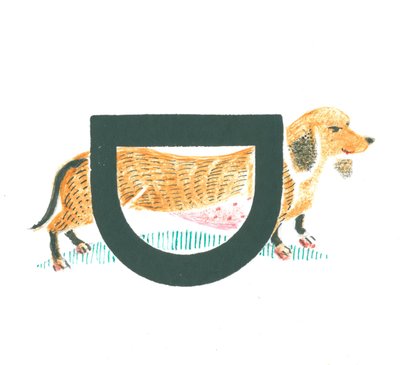 D is for Dachshund by Mary Kuper