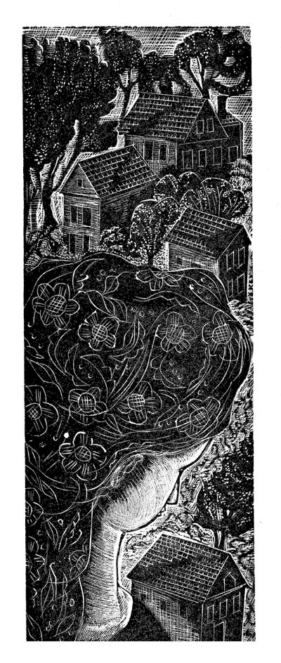 Home by Mary Kuper