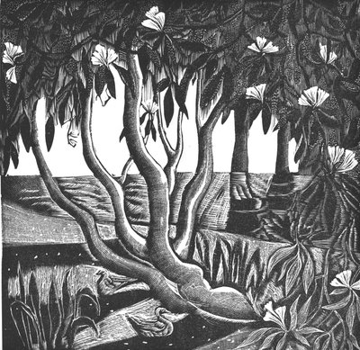 Rhododendrons, Holland Park, 2006 by Mary Kuper