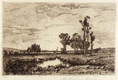 Cattle in a Pond by Mary Nimmo Moran