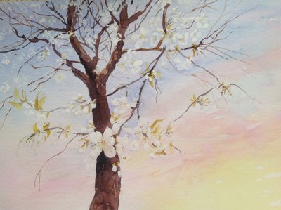 White Cherry Blossom by Mary Smith