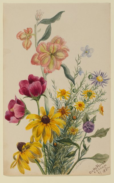 Group of Flowers by Mary Vaux Walcott