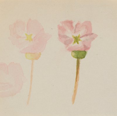My First Painting by Mary Vaux Walcott