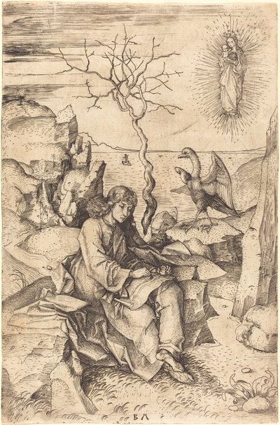 Saint John on Patmos by Master BM