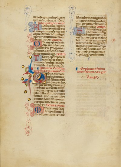 Initial D: Saint Catherine by Master of the Brussels Initials