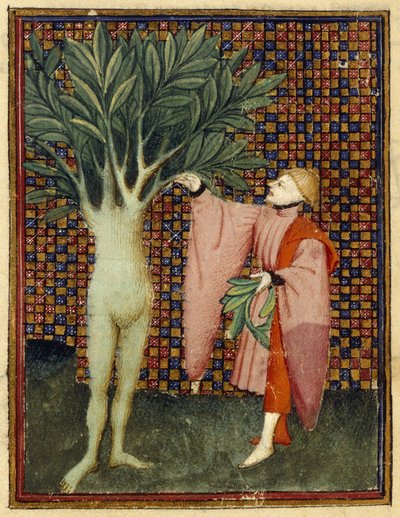 Apollo and Daphne by Master of the Cité des Dames