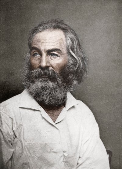 Walt Whitman, American Poet, c1880s by Mathew B. Brady