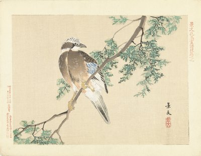 Jay on a Branch by Matsumura Keibun