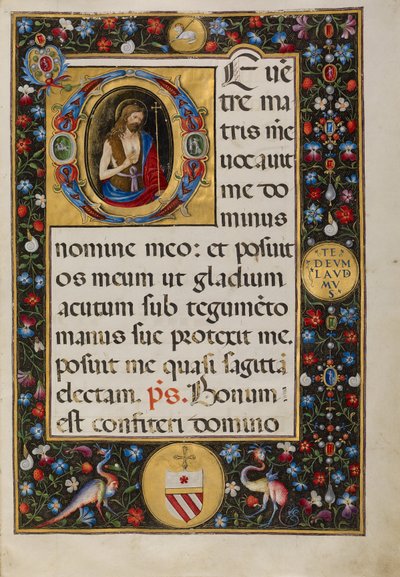 Initial D: Saint John the Baptist by Matteo da Milano