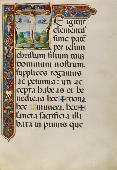 The Crucifixion by Matteo da Milano