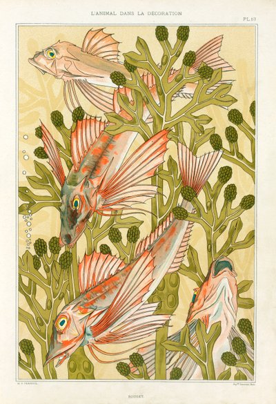 Red Mullet by Maurice Pillard Verneuil
