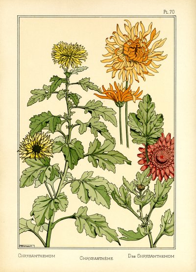 The Chrysanthemum by Maurice Pillard Verneuil