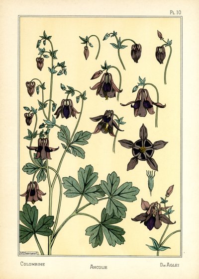 The Columbine by Maurice Pillard Verneuil