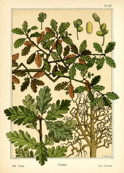The Oak by Maurice Pillard Verneuil