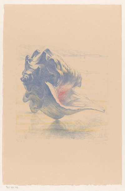 Shell by Maurits van der Valk (signed by artist)