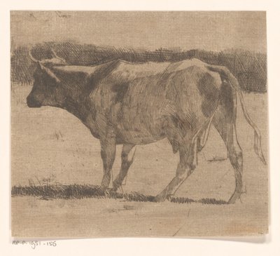 Cow in a Meadow by Maurits van der Valk