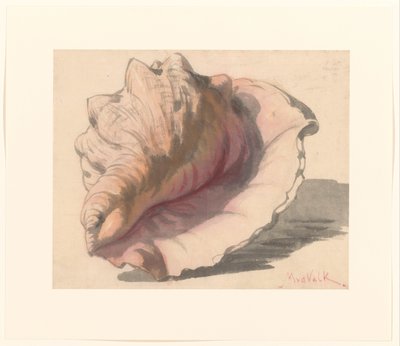 Shell by Maurits van der Valk
