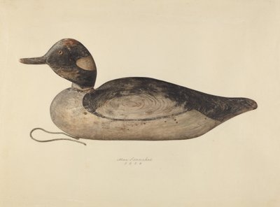 Duck Decoy by Max Fernekes