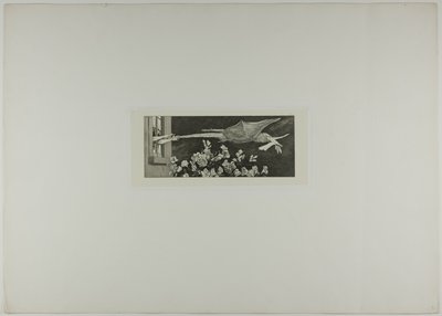 Abduction, plate nine from A Glove by Max Klinger