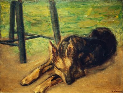 Sleeping Shepherd Dog by Max Liebermann