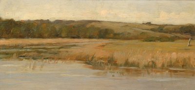 Hill and Marshland, late 19th-early 20th century by Max Weyl