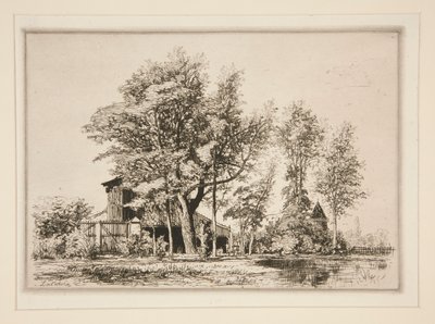Acacia Trees by Maxime Lalanne
