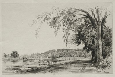 Richmond by Maxime Lalanne