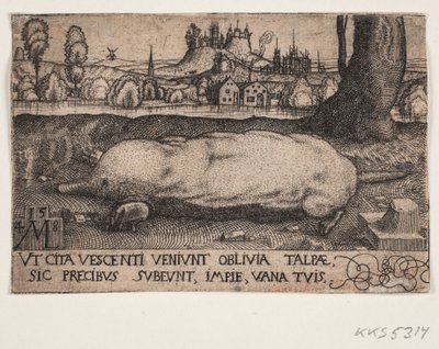 The Mole by Melchior Lorck