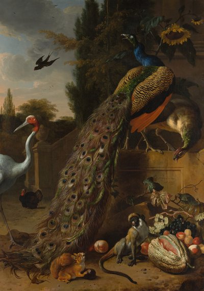 Peacocks by Melchior d