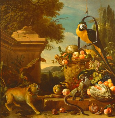 Macaw and a Monkey by Melchior de Hondecoeter