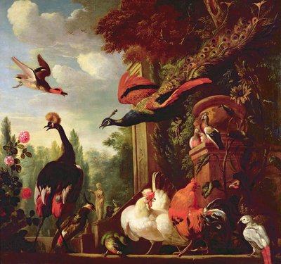 Unknown Image by Melchior de Hondecoeter