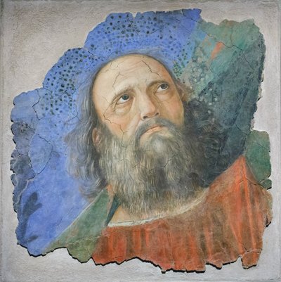Apostle