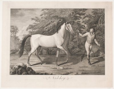 The Horse 