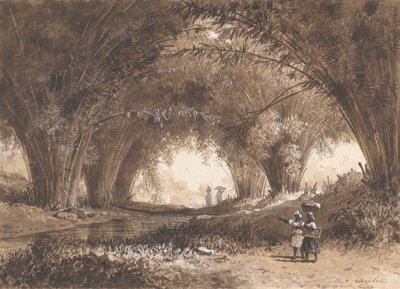 Bamboo Arches, St. Anns by Michel Jean Cazabon