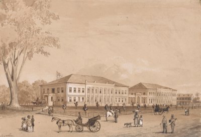 Government Buildings by Michel Jean Cazabon