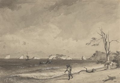 Los Gallos, Icacos Bay by Michel Jean Cazabon