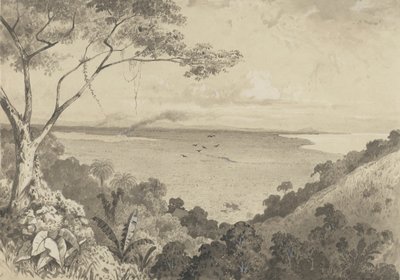 View from Laventille Hill by Michel Jean Cazabon