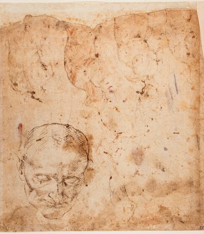 Figure Studies by Michelangelo (after) Buonarroti